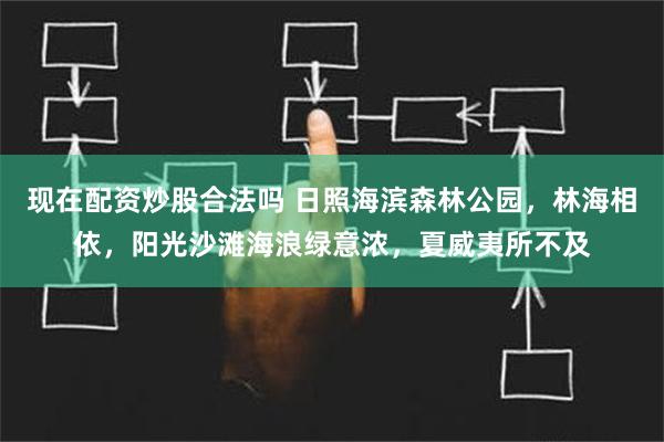 现在配资炒股合法吗 日照海滨森林公园，林海相依，阳光沙滩海浪绿意浓，夏威夷所不及