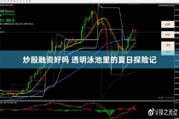 炒股融资好吗 透明泳池里的夏日探险记