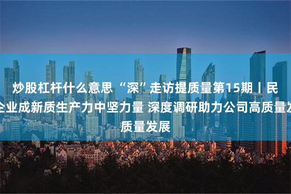 炒股杠杆什么意思 “深”走访提质量第15期丨民营企业成新质生产力中坚力量 深度调研助力公司高质量发展