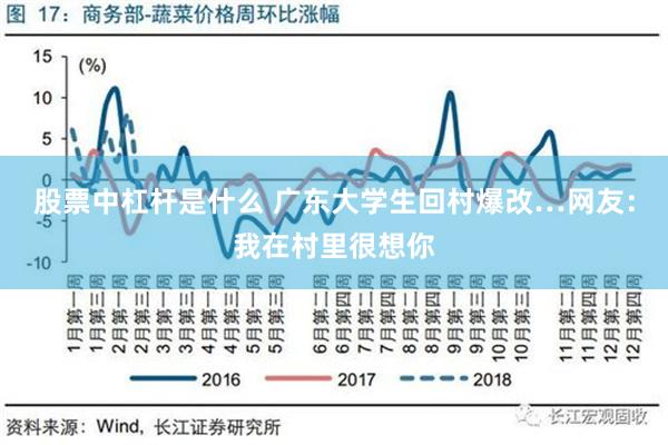 股票中杠杆是什么 广东大学生回村爆改…网友：我在村里很想你