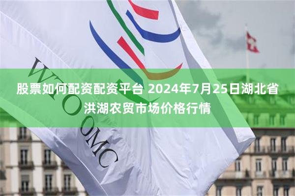 股票如何配资配资平台 2024年7月25日湖北省洪湖农贸市场价格行情