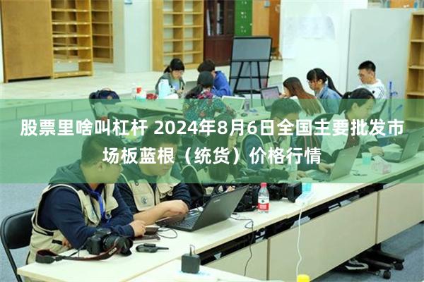 股票里啥叫杠杆 2024年8月6日全国主要批发市场板蓝根（统货）价格行情