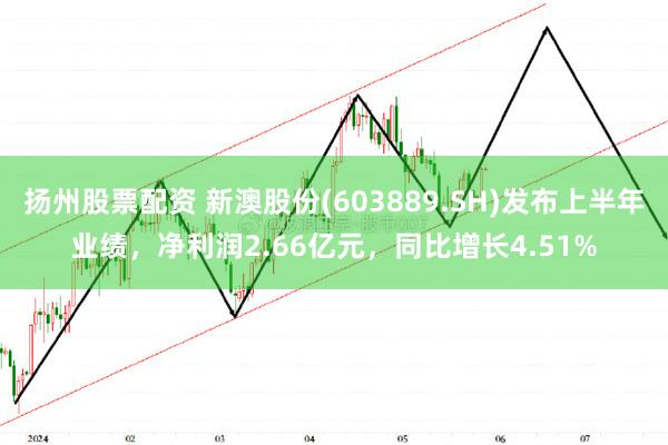 扬州股票配资 新澳股份(603889.SH)发布上半年业绩，净利润2.66亿元，同比增长4.51%