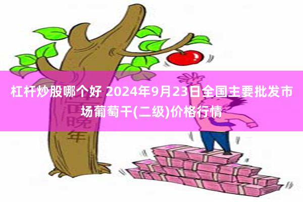 杠杆炒股哪个好 2024年9月23日全国主要批发市场葡萄干(二级)价格行情