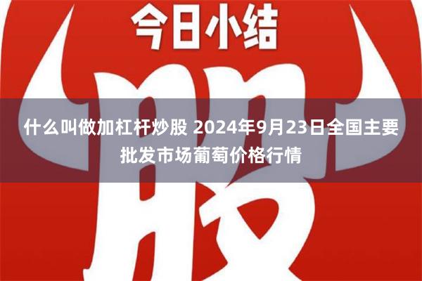 什么叫做加杠杆炒股 2024年9月23日全国主要批发市场葡萄价格行情