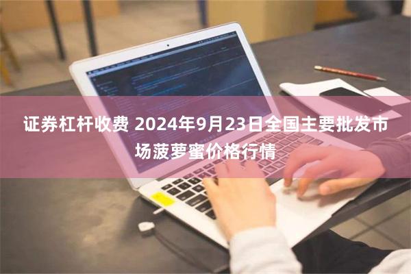 证券杠杆收费 2024年9月23日全国主要批发市场菠萝蜜价格行情