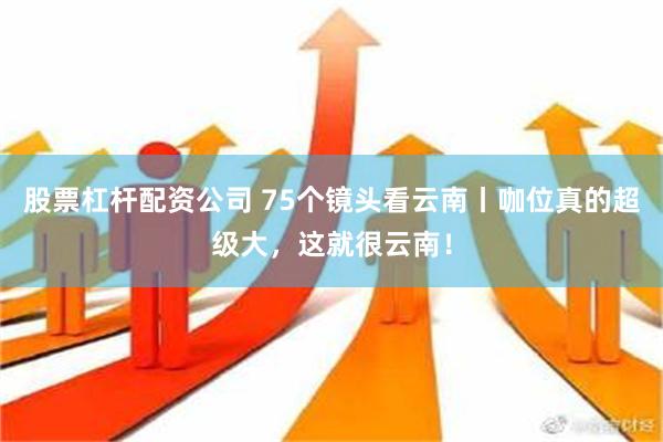 股票杠杆配资公司 75个镜头看云南丨咖位真的超级大，这就很云南！