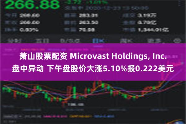 萧山股票配资 Microvast Holdings, Inc.盘中异动 下午盘股价大涨5.10%报0.222美元