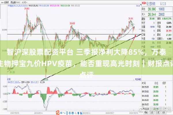 智沪深股票配资平台 三季报净利大降85%，万泰生物押宝九价HPV疫苗，能否重现高光时刻︱财报点评