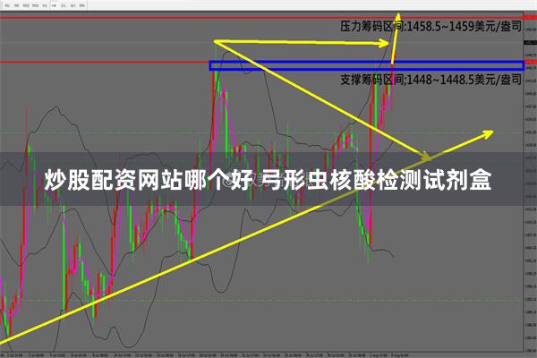 炒股配资网站哪个好 弓形虫核酸检测试剂盒